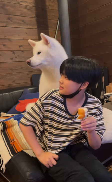 動画最後のこちろうくん