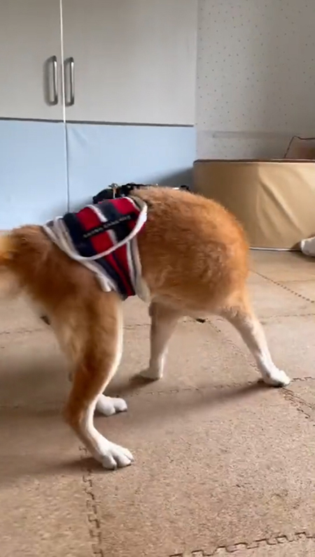 向こうを向いている太郎ちゃん