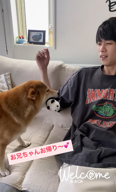 パンダをくわえてお兄ちゃんを見るチャコちゃん