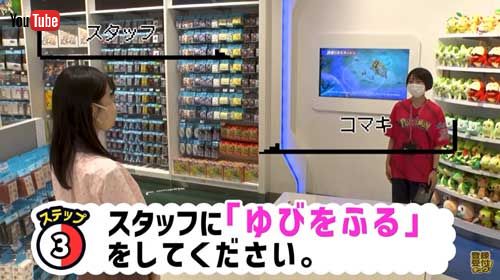 ポケモン　ポケモンセンター　ピッピ　お月見　クッション　光る Pokemon ポケモンセンターオリジナル 蓄光クッション お月見