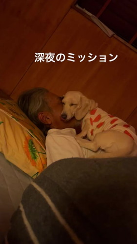 お父さん大好きにがうりちゃん