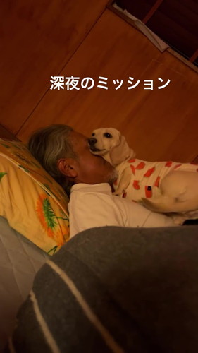 お父さん大好きにがうりちゃん