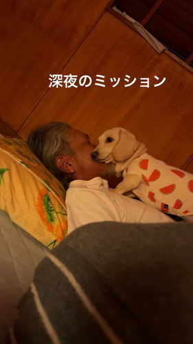 お父さん大好きにがうりちゃん