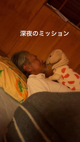 お父さん大好きにがうりちゃん