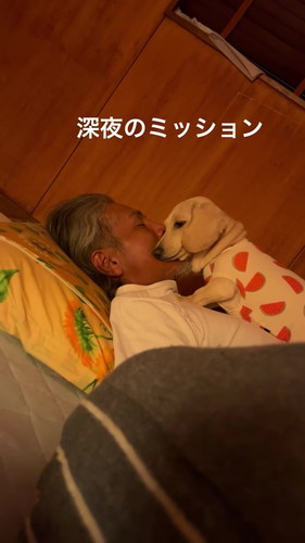 お父さん大好きにがうりちゃん