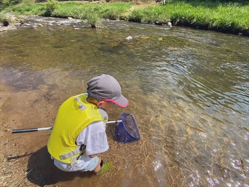 川遊びする男の子