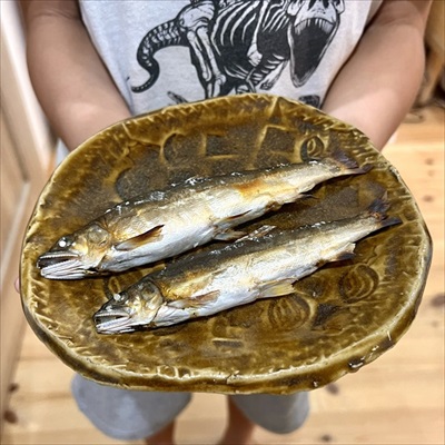 もらった天然鮎