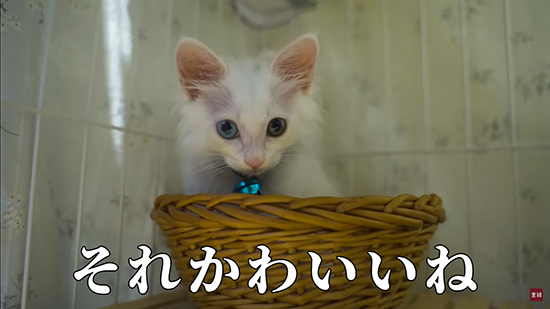 それかわいいね