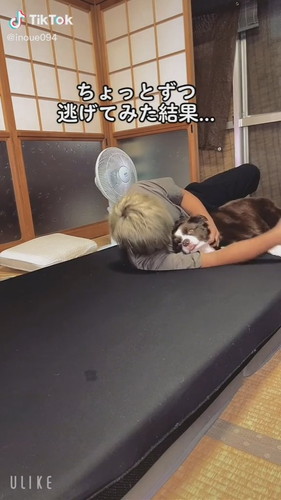 寝ている飼い主と犬