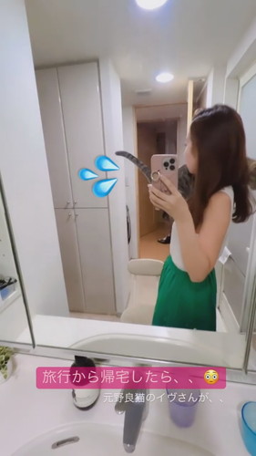 ジャンプする猫