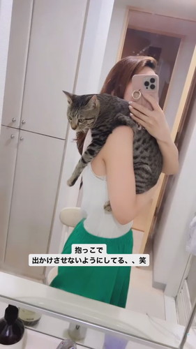 甘える猫