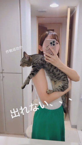 寝てしまった猫