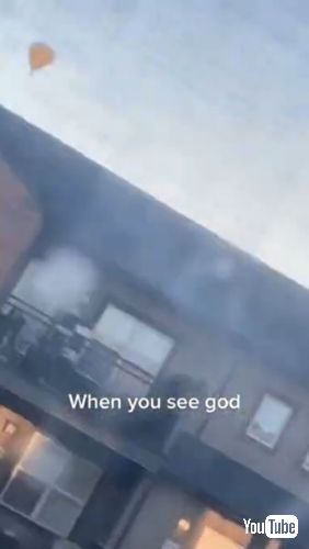 熱気球を見つめる犬