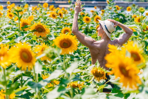 ひまわり畑のマッチョ