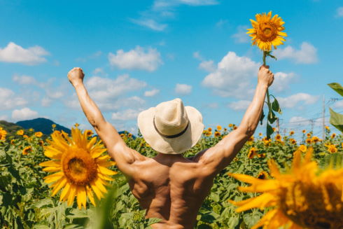 ひまわり畑のマッチョ