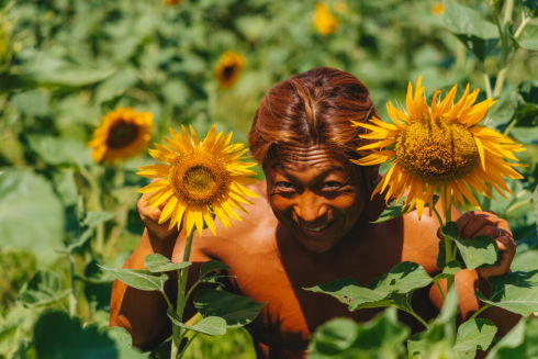 ひまわり畑のマッチョ