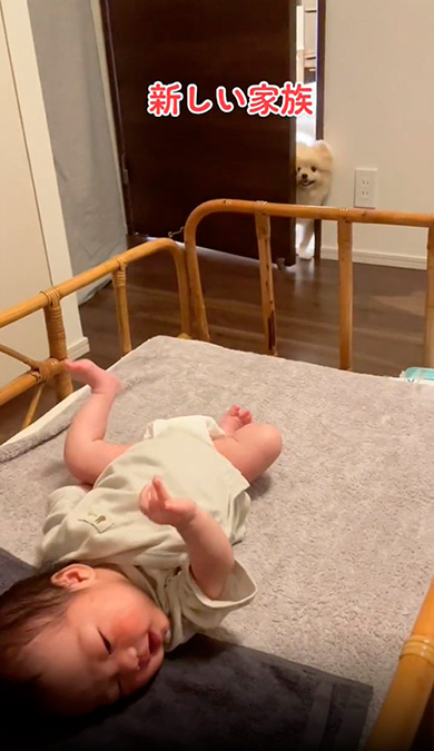 お部屋にいる赤ちゃん