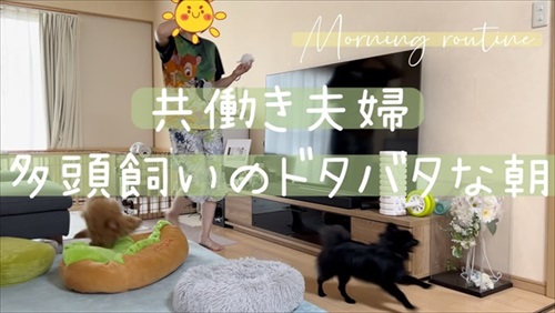 多頭飼いのワンちゃんたち