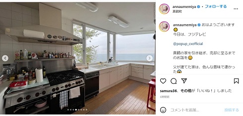 梅宮アンナが家売却を説明