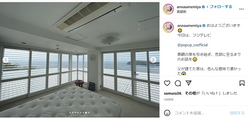 梅宮アンナが家売却を説明