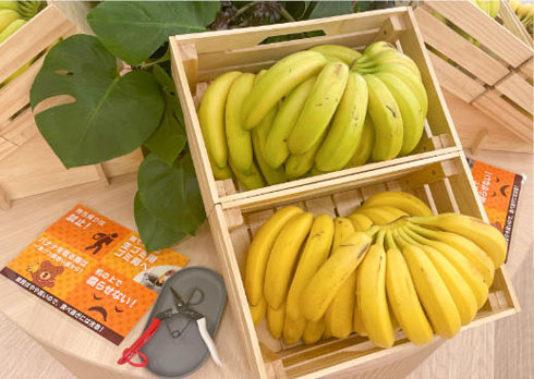 コロプラ 無限バナナ