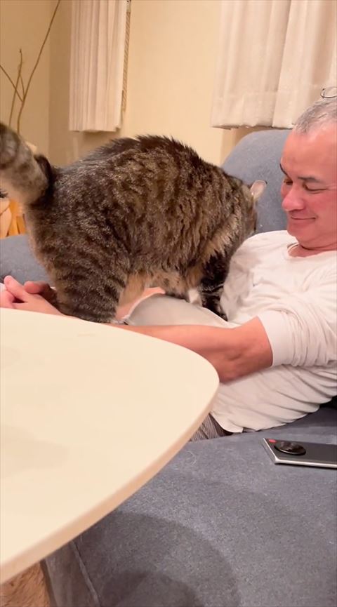 猫を見るパパさん