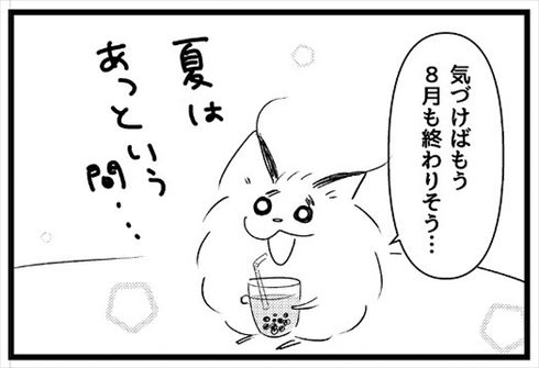 夏のベストな思い出