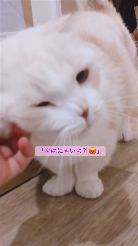 なでられている