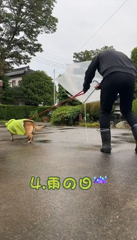 雨の日