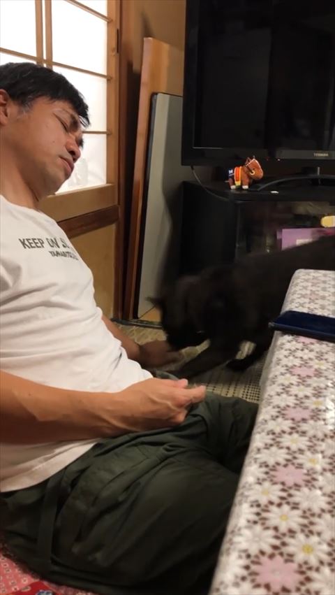 手の匂いをかぐワンコ