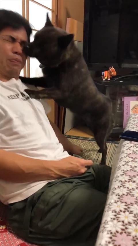 パパさんの両手を添える