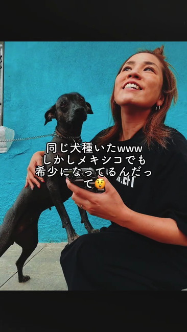 同じ犬種