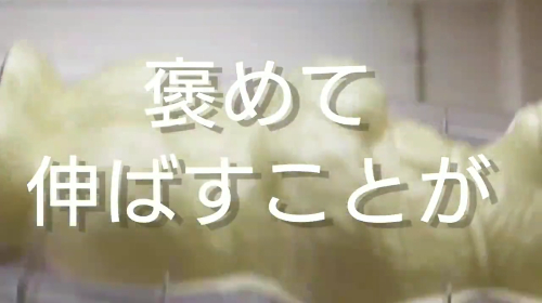 でっかい白熊チョコレートの作り方