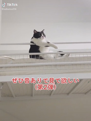 「おっさん座りバージョン」