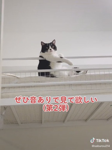 「おっさん座りバージョン」