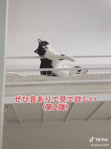 「おっさん座りバージョン」