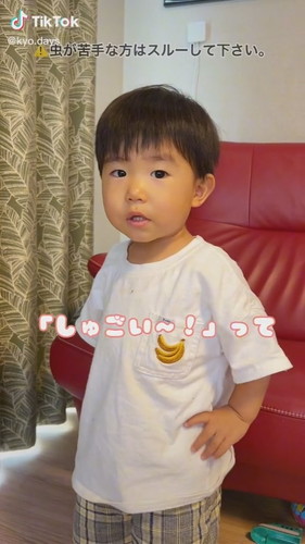 せみのぬけがら