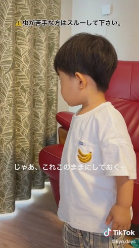 せみのぬけがら