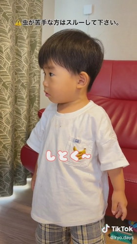 せみのぬけがら