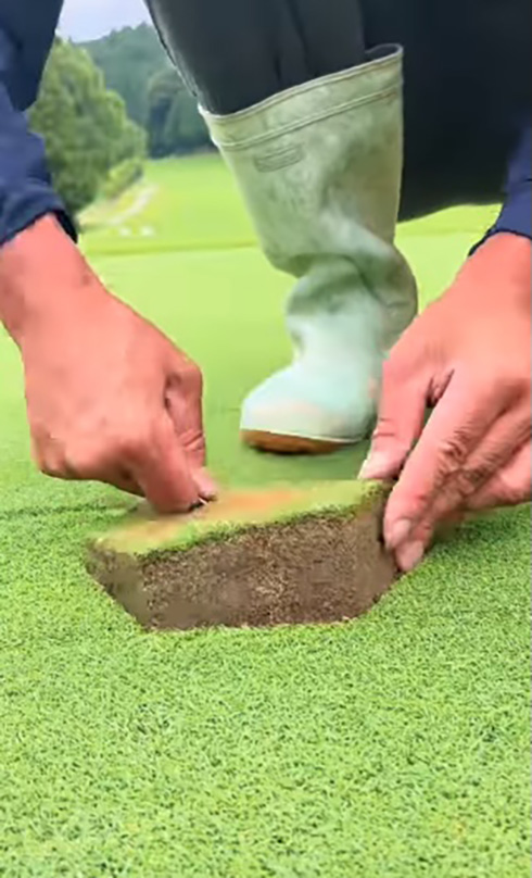 芝生を六角形に切り抜いて張り替える様子がおもしろい　ゴルフ場の整備動画がずっと見ていたくなる