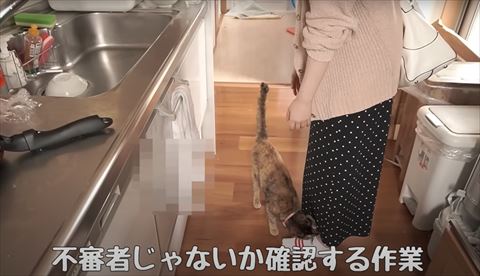 不審者じゃないかテロップ