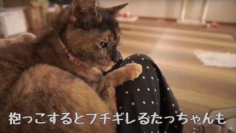 オススメ
