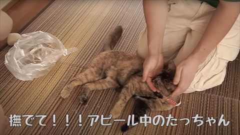 寝ながら匂いをかぐ