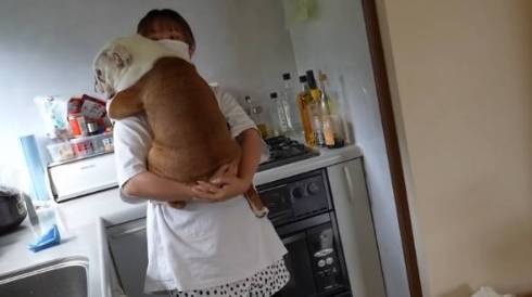 ハグしてもらう妹犬