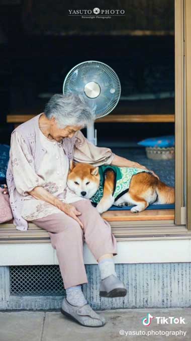 見寄せ合うおばあちゃんと柴犬