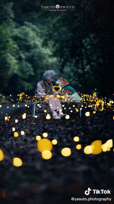 夜に見つめ合うおばあちゃんと柴犬