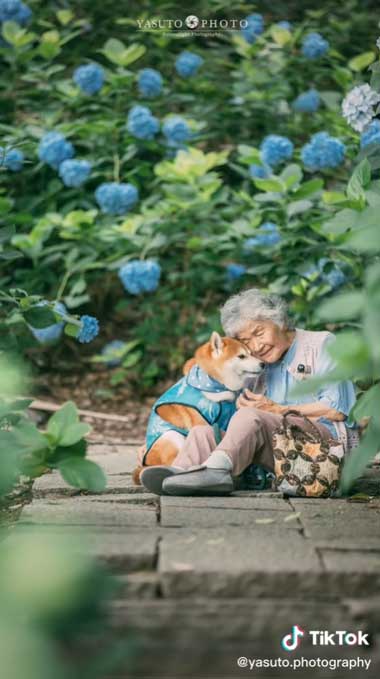くっつくおばあちゃんと柴犬