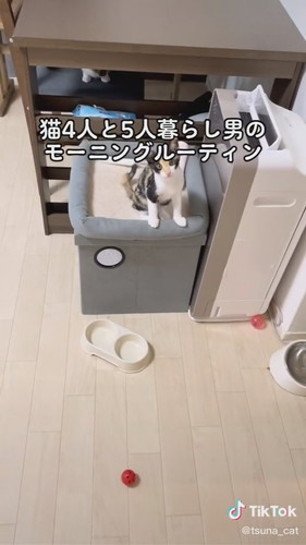 リズちゃんの上目遣い