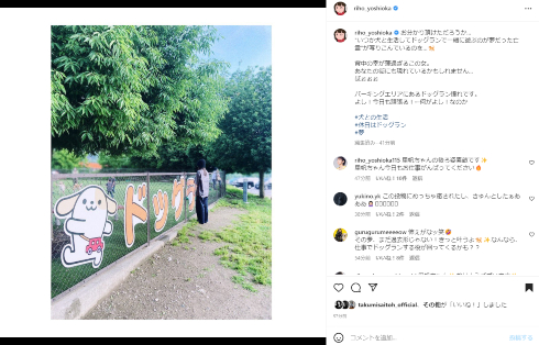 ドッグランをうらやましそうに眺める俳優・吉岡里帆