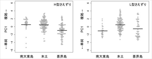 南大東島のウグイス
